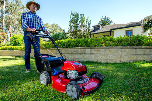 Lawn Mowers