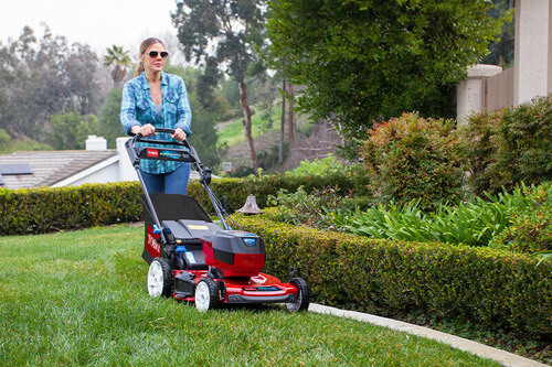 Lawn Maintenance