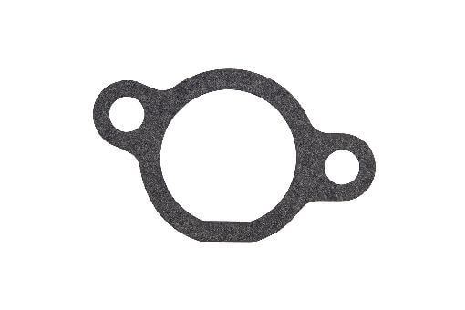 Gasket, Carbie To Engine Block Suits Ssv450f1