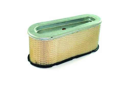 Genuine Briggs & Stratton Cartridge Air Filter