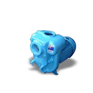 Aussie Pumps GB2KQ-A/ST 2.21P Trash Pump