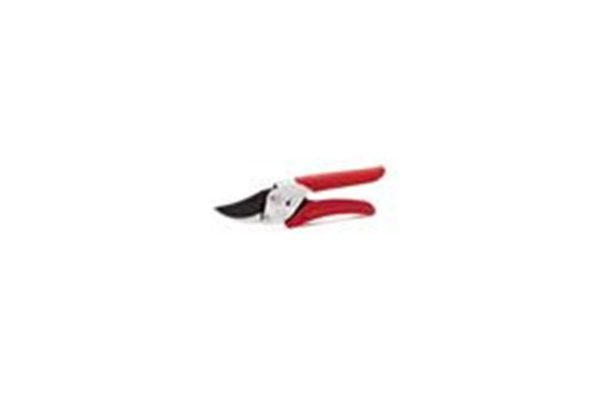 Classic Secateur - Bypass