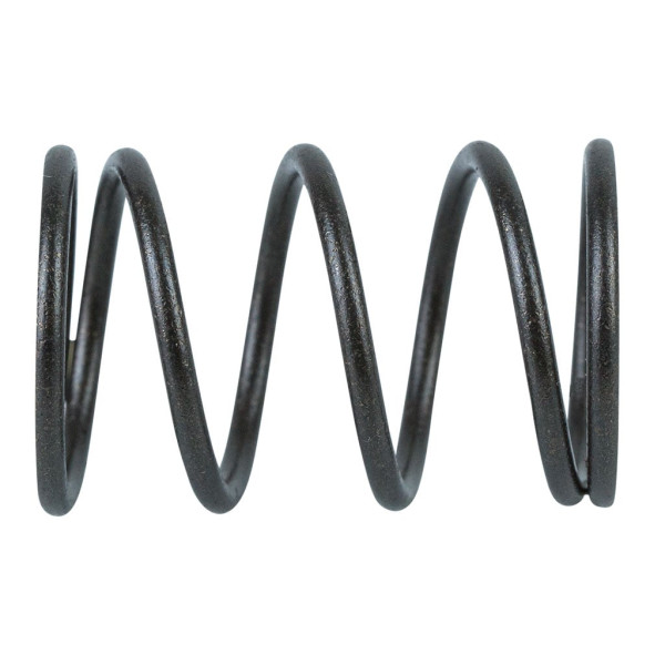 VALVE SPRING SUITS LC1P70FC ( SSV200FC )