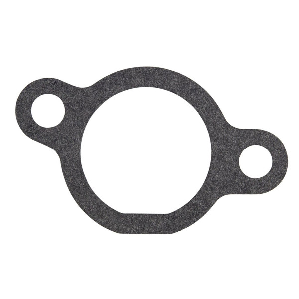 GASKET, CARBIE TO ENGINE BLOCK SUITS SSV450F1 / ENG8380