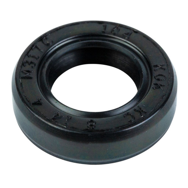 OIL SEAL GOVERNOR