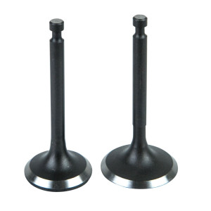 VALVE KIT SUITS LC1P70FC ( SSV200FC )