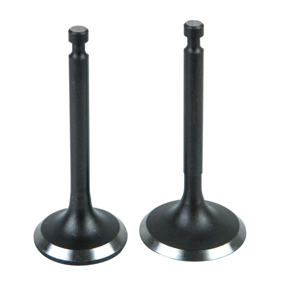 VALVE KIT SUITS LC1P70FC ( SSV200FC )