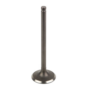 EXHAUST VALVE