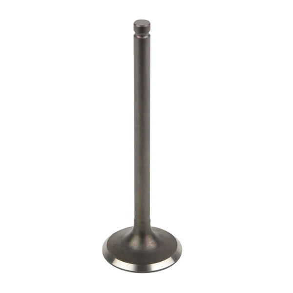 EXHAUST VALVE